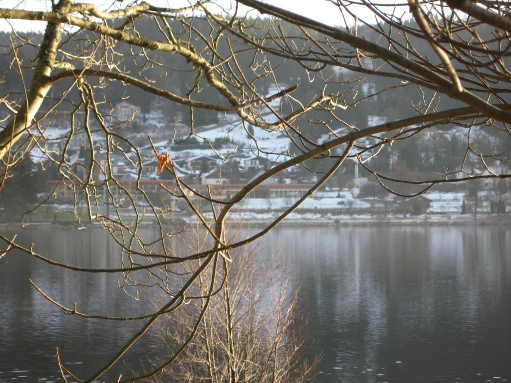 Hotel Restaurant De La Poste A Gérardmer Cameră foto